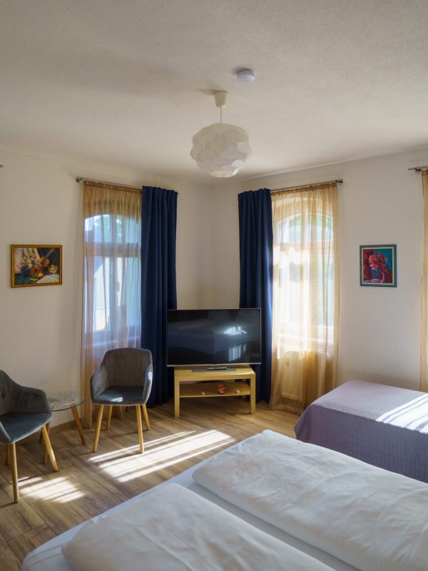 Wohnzimmer 3